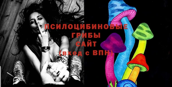 прущие грибы Алзамай
