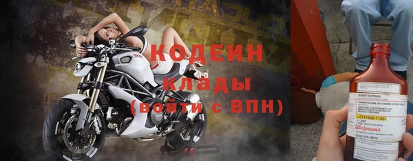 прущие грибы Алзамай
